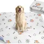 Hundetrainingsunterlage