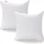 Pillow Inserts White