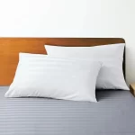 Cotton Pillow Cases