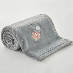 Newborn Toddler Blanket